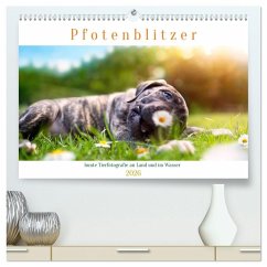 Cover Pfotenblitzer bunte Tierfotografie an Land und im Wasser (hochwertiger Premium Wandkalender 2026 DIN A2 quer), Kunstdruck in Hochglanz
