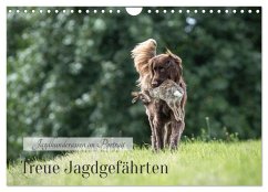 Treue Jagdgefährten - Jagdhunderassen im Portrait (Wandkalender 2026 DIN A4 quer), CALVENDO Monatskalender
