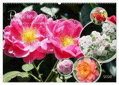 Rosensommer (Wandkalender 2026 DIN A2 quer), CALVENDO Monatskalender