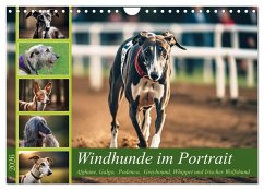 Windhunde im Portrait (Wandkalender 2026 DIN A4 quer), CALVENDO Monatskalender