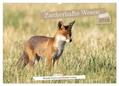 Zauberhafte Wesen - Reineke Fuchs und Meister Lampe (Wandkalender 2026 DIN A2 quer), CALVENDO Monatskalender