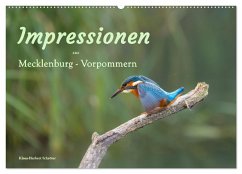 Cover Impressionen aus Mecklenburg - Vorpommern (Wandkalender 2026 DIN A2 quer), CALVENDO Monatskalender