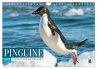 Pinguine: Gehupft wie gesprungen... - Bild 1