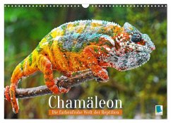 Chamäleon: Die farbenfrohe Welt der Reptilien (Wandkalender 2026 DIN A3 quer), CALVENDO Monatskalender Cover Chamäleon: Die farbenfrohe Welt der Reptilien (Wandkalender 2026 DIN A3 quer), CALVENDO Monatskalender