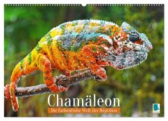 Chamäleon: Die farbenfrohe Welt der Reptilien (Wandkalender 2026 DIN A2 quer), CALVENDO Monatskalender Cover Chamäleon: Die farbenfrohe Welt der Reptilien (Wandkalender 2026 DIN A2 quer), CALVENDO Monatskalender