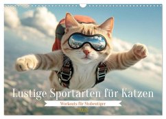 Lustige Sportarten für Katzen (Wandkalender 2026 DIN A3 quer), CALVENDO Monatskalender