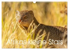Cover Afrikas kleine Stars (Wandkalender 2026 DIN A3 quer), CALVENDO Monatskalender