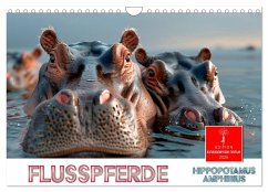 Flusspferde - Hippopotamus amphibius (Wandkalender 2026 DIN A4 quer), CALVENDO Monatskalender