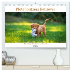 Cover Pfotenblitzers Retriever Mit DIR hol ich die Sterne vom Himmel (hochwertiger Premium Wandkalender 2026 DIN A2 quer), Kunstdruck in Hochglanz