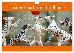 Lustige Sportarten für Hunde (Wandkalender 2026 DIN A4 quer), CALVENDO Monatskalender