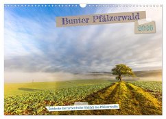 Bunter Pfälzerwald (Wandkalender 2026 DIN A3 quer), CALVENDO Monatskalender