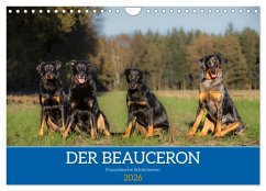 Der Beauceron (Wandkalender 2026 DIN A4 quer), CALVENDO Monatskalender