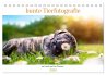 bunte Tierfotografie an Land und im... - Bild 1