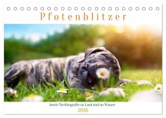 Cover Pfotenblitzer bunte Tierfotografie an Land und im Wasser (Tischkalender 2026 DIN A5 quer), CALVENDO Monatskalender