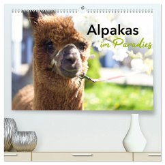 Alpakas im Paradies (hochwertiger Premium Wandkalender 2026 DIN A2 quer), Kunstdruck in Hochglanz