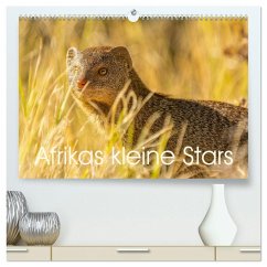 Cover Afrikas kleine Stars (hochwertiger Premium Wandkalender 2026 DIN A2 quer), Kunstdruck in Hochglanz