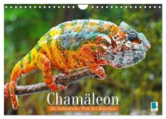 Chamäleon: Die farbenfrohe Welt der Reptilien (Wandkalender 2026 DIN A4 quer), CALVENDO Monatskalender Cover Chamäleon: Die farbenfrohe Welt der Reptilien (Wandkalender 2026 DIN A4 quer), CALVENDO Monatskalender