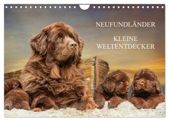 Cover Neufundländer - Kleine Weltentdecker (Wandkalender 2026 DIN A4 quer), CALVENDO Monatskalender