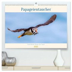 Papageientaucher - Farbenfrohe Flieger der Natur (hochwertiger Premium Wandkalender 2026 DIN A2 quer), Kunstdruck in Hochglanz