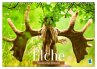 Elche: Nordische Riesen (Wandkalender... - Bild 1