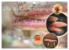 Die Welt der Fliegenpilze (Wandkalender 2026 DIN A4 quer), CALVENDO Monatskalender