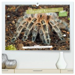 Cover Haarige Gesellen (hochwertiger Premium Wandkalender 2026 DIN A2 quer), Kunstdruck in Hochglanz