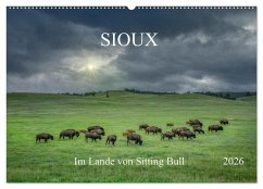 Sioux Im Lande von Sitting Bull (Wandkalender 2026 DIN A2 quer), CALVENDO Monatskalender