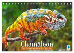 Chamäleon: Die farbenfrohe Welt der Reptilien (Tischkalender 2026 DIN A5 quer), CALVENDO Monatskalender Cover Chamäleon: Die farbenfrohe Welt der Reptilien (Tischkalender 2026 DIN A5 quer), CALVENDO Monatskalender