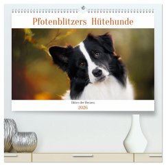 Cover Pfotenblitzers Hütehunde - Hüter der Herzen (hochwertiger Premium Wandkalender 2026 DIN A2 quer), Kunstdruck in Hochglanz