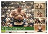 KI Sumo-Kämpfer Im Ring der Giganten... - Bild 1