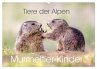 Tiere der Alpen - Murmeltier-Kinder... - Bild 1