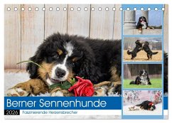 Cover Berner Sennenhunde - Faszinierende Herzensbrecher (Tischkalender 2026 DIN A5 quer), CALVENDO Monatskalender