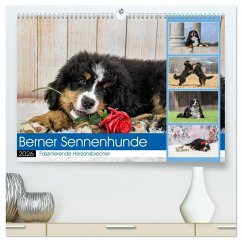 Cover Berner Sennenhunde - Faszinierende Herzensbrecher (hochwertiger Premium Wandkalender 2026 DIN A2 quer), Kunstdruck in Hochglanz