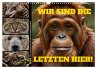 Wir sind die Letzten hier! Wir sterben... - Bild 1