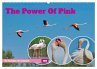 The Power Of Pink (Wandkalender 2026... - Bild 1