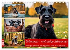 Cover Schnauzer - vielseitige Allrounder (Wandkalender 2026 DIN A3 quer), CALVENDO Monatskalender