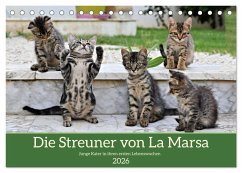 Die Streuner von La Marsa (Tischkalender 2026 DIN A5 quer), CALVENDO Monatskalender Die Streuner von La Marsa (Tischkalender 2026 DIN A5 quer), CALVENDO Monatskalender