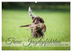 Treue Jagdgefährten Der kleine Münsterländer (Wandkalender 2026 DIN A2 quer), CALVENDO Monatskalender Treue Jagdgefährten Der kleine Münsterländer (Wandkalender 2026 DIN A2 quer), CALVENDO Monatskalender