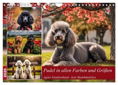Cover Pudel in allen Farben und Größen (Wandkalender 2026 DIN A4 quer), CALVENDO Monatskalender