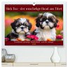 Shih Tzu - der wuschelige Hund aus... - Bild 1