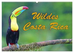 Wildes Costa Rica (Wandkalender 2026 DIN A2 quer), CALVENDO Monatskalender Wildes Costa Rica (Wandkalender 2026 DIN A2 quer), CALVENDO Monatskalender