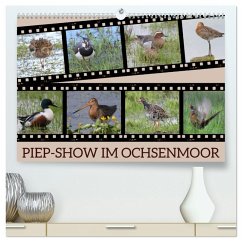 PIEP-SHOW im Ochsenmoor (hochwertiger Premium Wandkalender 2026 DIN A2 quer), Kunstdruck in Hochglanz