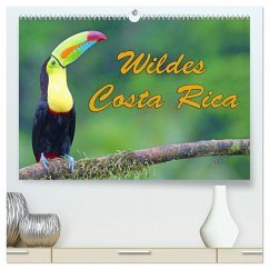 Wildes Costa Rica (hochwertiger Premium Wandkalender 2026 DIN A2 quer), Kunstdruck in Hochglanz Wildes Costa Rica (hochwertiger Premium Wandkalender 2026 DIN A2 quer), Kunstdruck in Hochglanz