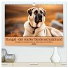Kangal - der starke Herdenschutzhund... - Bild 1