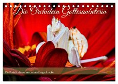Cover Die Orchideen Gottesanbeterin (Tischkalender 2026 DIN A5 quer), CALVENDO Monatskalender