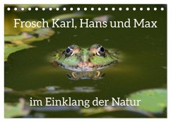 Frosch Karl, Hans und Max im Einklang der Natur (Tischkalender 2026 DIN A5 quer), CALVENDO Monatskalender