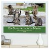 Die Streuner von La Marsa (hochwertiger... - Bild 1
