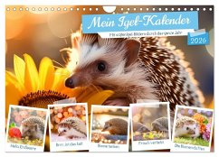 Mein Igel-Kalender (Wandkalender 2026 DIN A4 quer), CALVENDO Monatskalender Mein Igel-Kalender (Wandkalender 2026 DIN A4 quer), CALVENDO Monatskalender