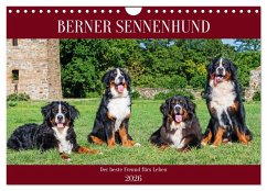 Cover Berner Sennenhund - Der beste Freund fürs Leben (Wandkalender 2026 DIN A4 quer), CALVENDO Monatskalender