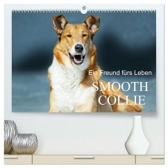 Cover Ein Freund fürs Leben - Smooth Collie (hochwertiger Premium Wandkalender 2026 DIN A2 quer), Kunstdruck in Hochglanz